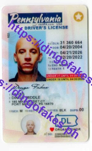 PENNSYLVANIA(PA U21 NEW 2022 POLYCARD)