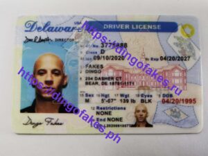 DELAWARE(DE O21 NEW)